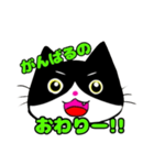 日常で使える単純こねこ【白黒ハチワレ】（個別スタンプ：25）