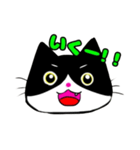 日常で使える単純こねこ【白黒ハチワレ】（個別スタンプ：29）