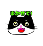 日常で使える単純こねこ【白黒ハチワレ】（個別スタンプ：30）