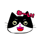 日常で使える単純こねこ【白黒ハチワレ】（個別スタンプ：33）