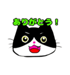 日常で使える単純こねこ【白黒ハチワレ】（個別スタンプ：39）