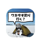 爆釣！ワカサギ釣り大好き猫エレのスタンプ（個別スタンプ：2）
