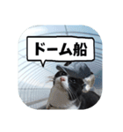 爆釣！ワカサギ釣り大好き猫エレのスタンプ（個別スタンプ：5）