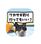 爆釣！ワカサギ釣り大好き猫エレのスタンプ（個別スタンプ：6）