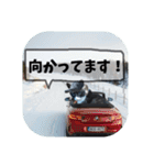 爆釣！ワカサギ釣り大好き猫エレのスタンプ（個別スタンプ：7）