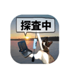 爆釣！ワカサギ釣り大好き猫エレのスタンプ（個別スタンプ：14）