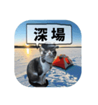 爆釣！ワカサギ釣り大好き猫エレのスタンプ（個別スタンプ：16）