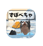 爆釣！ワカサギ釣り大好き猫エレのスタンプ（個別スタンプ：17）