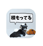 爆釣！ワカサギ釣り大好き猫エレのスタンプ（個別スタンプ：18）