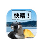 爆釣！ワカサギ釣り大好き猫エレのスタンプ（個別スタンプ：21）