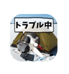 爆釣！ワカサギ釣り大好き猫エレのスタンプ（個別スタンプ：23）