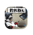 爆釣！ワカサギ釣り大好き猫エレのスタンプ（個別スタンプ：24）