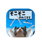 爆釣！ワカサギ釣り大好き猫エレのスタンプ（個別スタンプ：26）