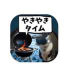 爆釣！ワカサギ釣り大好き猫エレのスタンプ（個別スタンプ：29）