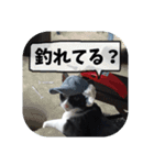 爆釣！ワカサギ釣り大好き猫エレのスタンプ（個別スタンプ：32）