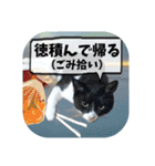爆釣！ワカサギ釣り大好き猫エレのスタンプ（個別スタンプ：35）