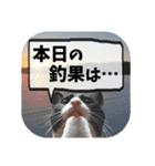 爆釣！ワカサギ釣り大好き猫エレのスタンプ（個別スタンプ：40）