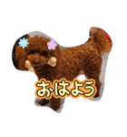 トイプーギャルみく（個別スタンプ：2）