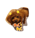 トイプーギャルみく（個別スタンプ：11）