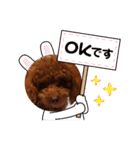 トイプーギャルみく（個別スタンプ：16）