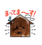 トイプーギャルみく（個別スタンプ：20）
