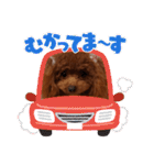 トイプーギャルみく（個別スタンプ：25）