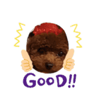 トイプーギャルみく（個別スタンプ：30）