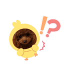 トイプーギャルみく（個別スタンプ：31）