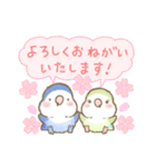 コザクラインコのあおちゃんとあもちゃん春（個別スタンプ：1）