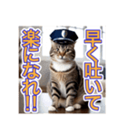 猫の警察官（個別スタンプ：20）