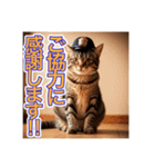 猫の警察官（個別スタンプ：23）