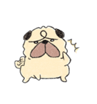 ぱじぃ。2（個別スタンプ：1）