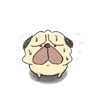 ぱじぃ。2（個別スタンプ：4）