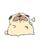 ぱじぃ。2（個別スタンプ：5）