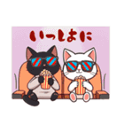 小さな白猫のサラ（個別スタンプ：10）