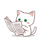 小さな白猫のサラ（個別スタンプ：13）