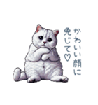 メンヘラ白ねこちゃん【かわいい・面白い】（個別スタンプ：2）