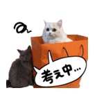 あるだすLINEスタンプ（個別スタンプ：10）