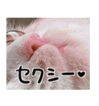 あるだすLINEスタンプ（個別スタンプ：26）