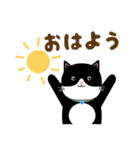 かわいいタキシード猫の日常スタンプ（個別スタンプ：1）