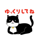 かわいいタキシード猫の日常スタンプ（個別スタンプ：7）