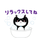 かわいいタキシード猫の日常スタンプ（個別スタンプ：25）