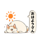 九州弁にゃんこ（個別スタンプ：3）