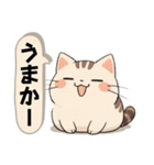 九州弁にゃんこ（個別スタンプ：33）