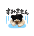 American Cocker Spaniel【ビビ】♀（個別スタンプ：4）