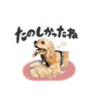 American Cocker Spaniel【ビビ】♀（個別スタンプ：15）