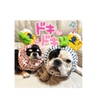 もちおと愉快な仲間たち7（個別スタンプ：3）