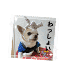 もちおと愉快な仲間たち7（個別スタンプ：8）