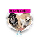 もちおと愉快な仲間たち7（個別スタンプ：9）