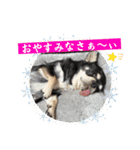 もちおと愉快な仲間たち7（個別スタンプ：18）
